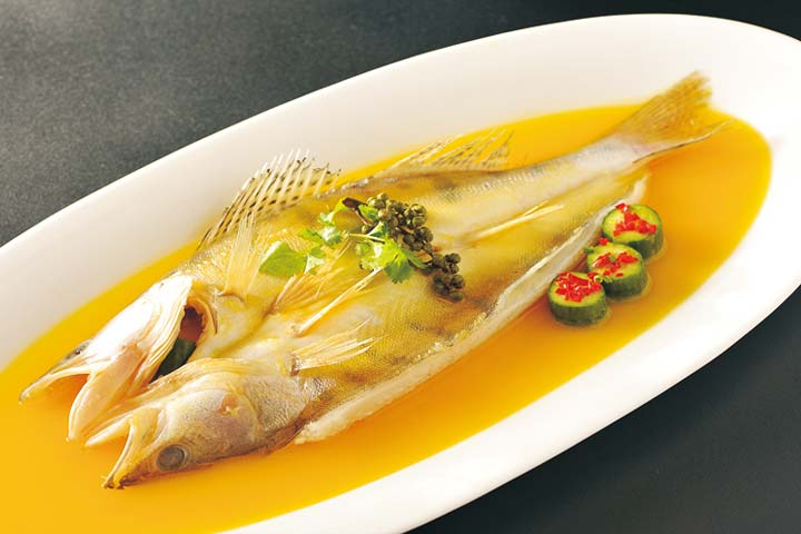 天山鱈龍魚
